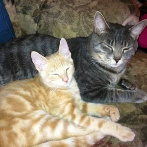 Meet your Posher, Tina